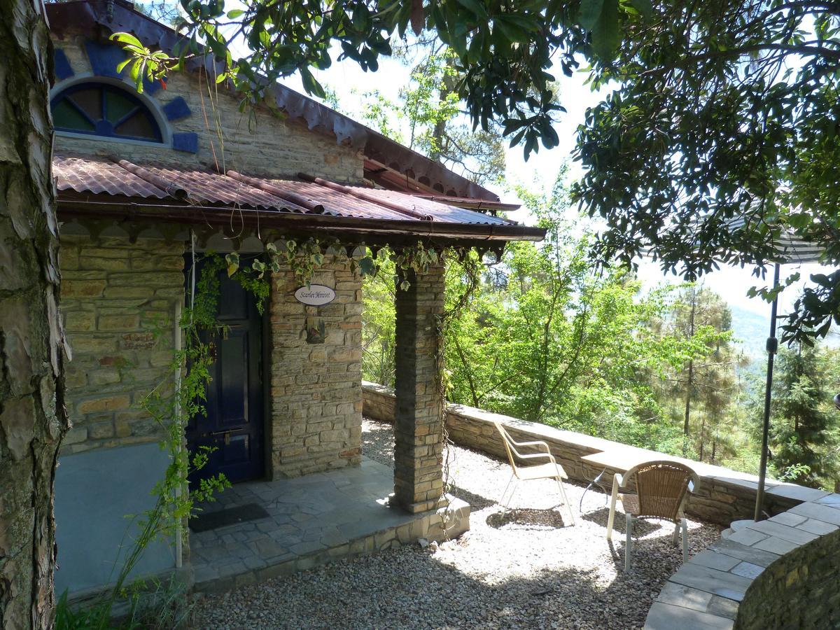 Ayurvaid Kalmatia Hotel Almora Exterior photo